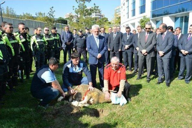 Bursa Trafiğine 'şahin' Timlerinin Ardından 'atmaca' Timi