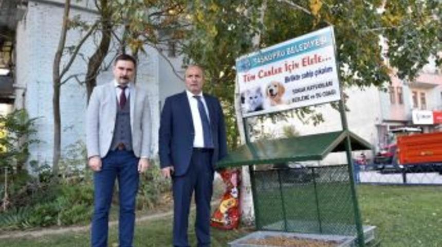 Taşk&ouml;pr&uuml;&rsquo;de Besleme Ve Su Odağı Kuruldu