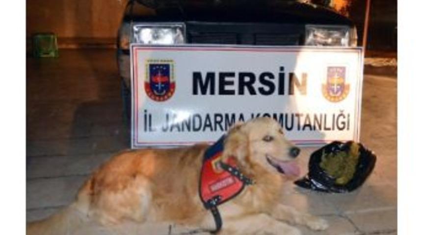 Jandarmadan Uyuşturucu Satıcısına Su&ccedil;&uuml;st&uuml;