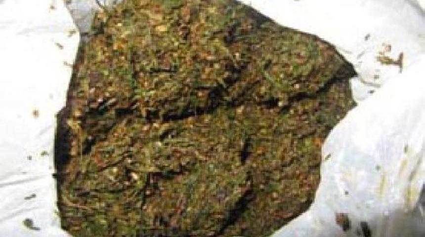 D&uuml;zce'de Torbacı Operasyonu 11 G&ouml;zaltı