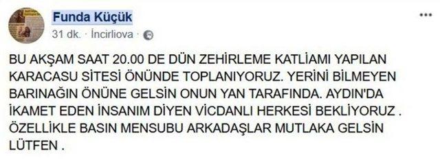 Aydın’da Köpek Katliamı