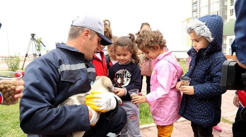 Başkan Palancıoğlu, Minik &Ouml;ğrencilere Hayvan Sevgisini Anlattı