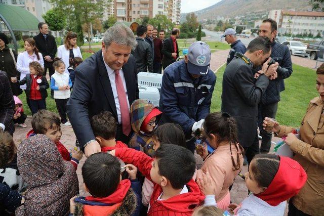 Başkan Palancıoğlu, Minik Öğrencilere Hayvan Sevgisini Anlattı