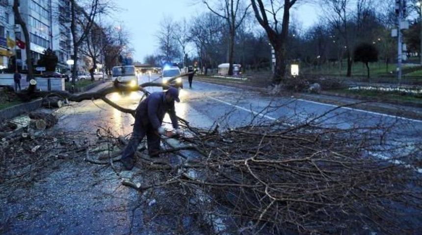 Beşiktaş'ta Ağa&ccedil; Devrildi Yol Kapandı