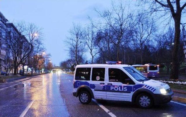 Beşiktaş'ta Ağaç Devrildi Yol Kapandı