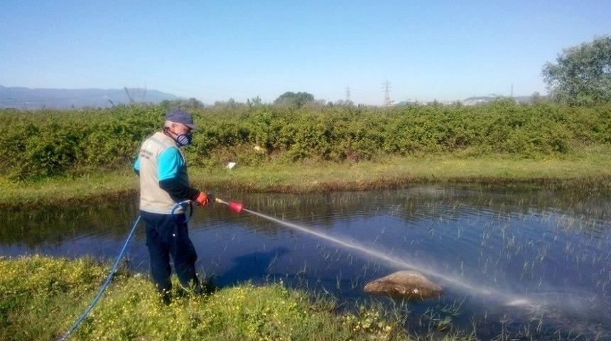 Vekt&ouml;rle M&uuml;cadele Aralıksız S&uuml;r&uuml;yor