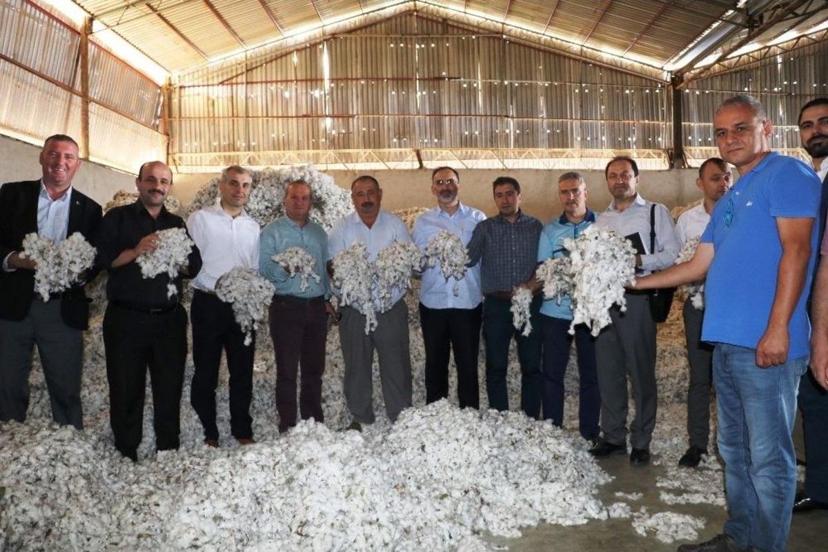 Pamuk, Antbirlik&rsquo;te Masaya Yatırıldı