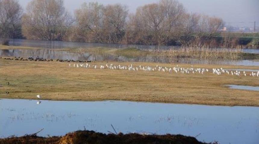 Kuş Cennetinde Kuş Sayımı