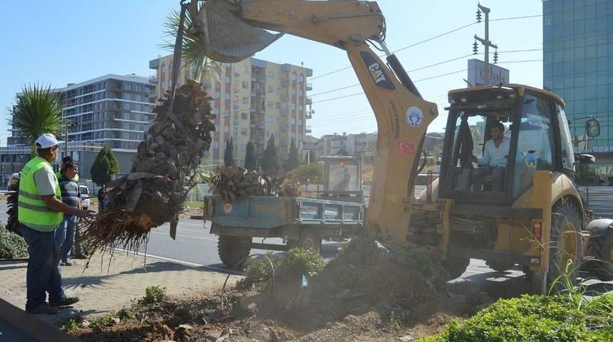 Turgutlu Belediyesinden &Ccedil;evrecilik &Ouml;rneği