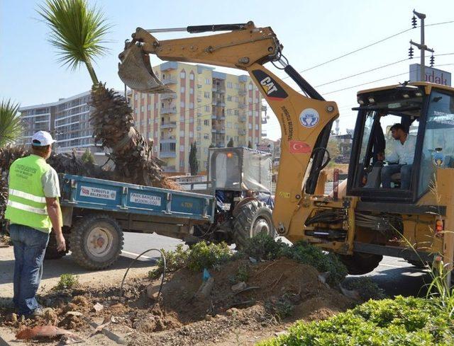 Turgutlu Belediyesinden Çevrecilik Örneği 1