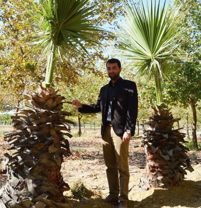 Turgutlu Belediyesinden Çevrecilik Örneği 3