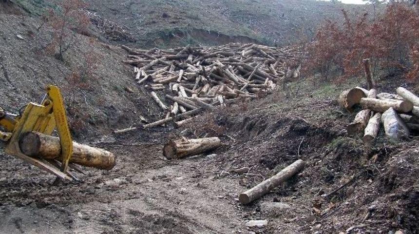 Orman İşletmeden Yatağan&rsquo;a 4,5 Milyon Lira