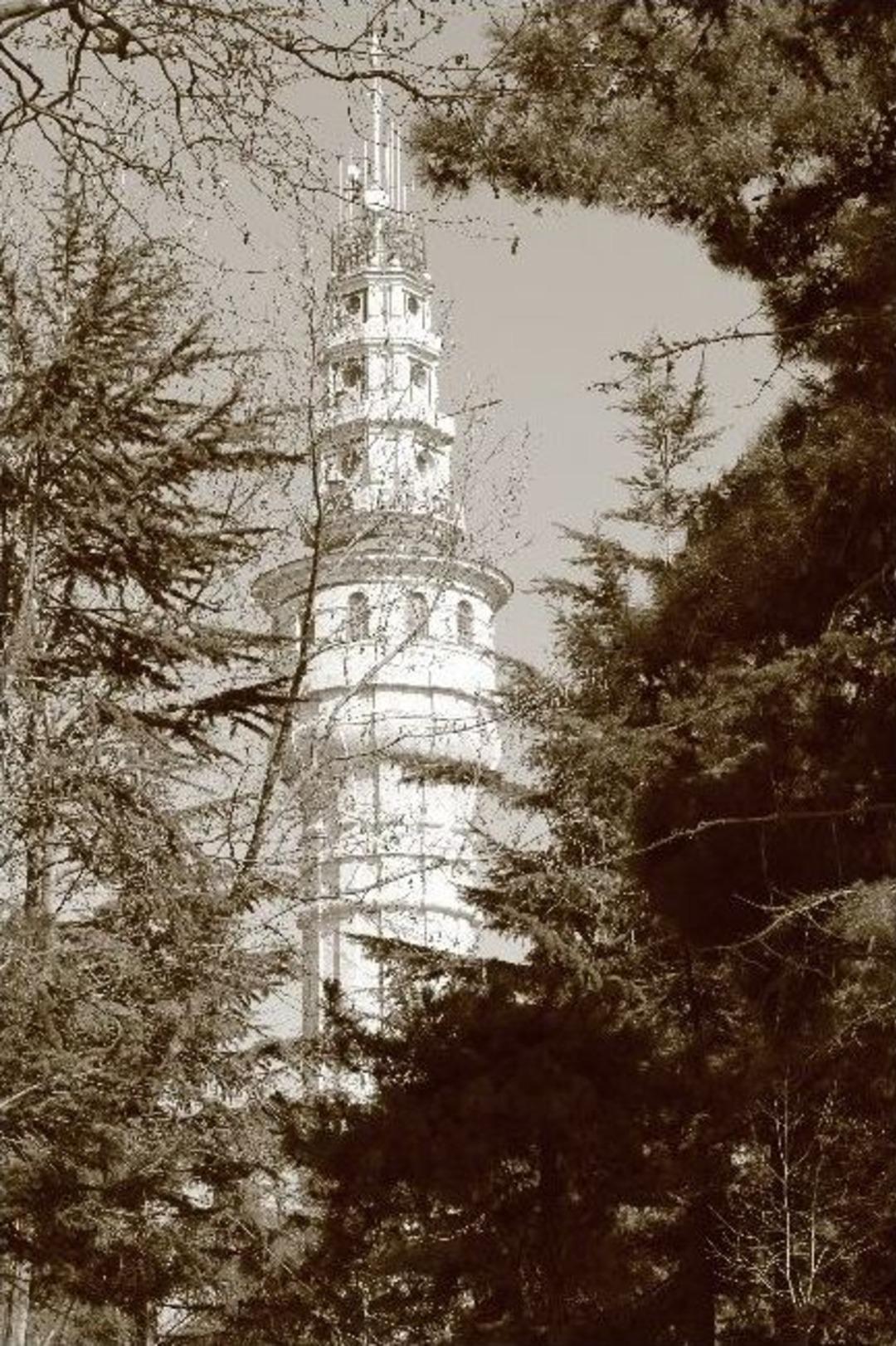 266 Yıllık Bilinmeyen Hikaye