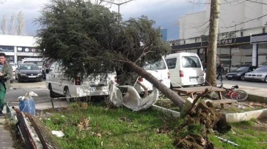 Lodos Bursa'da &Ccedil;atı U&ccedil;urdu Ağa&ccedil; Devirdi (2)