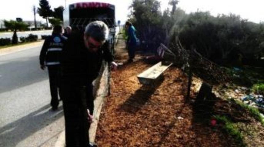 Muratpaşa&rsquo;dan Canlı Hayvan Satış Yerlerine D&uuml;zenleme
