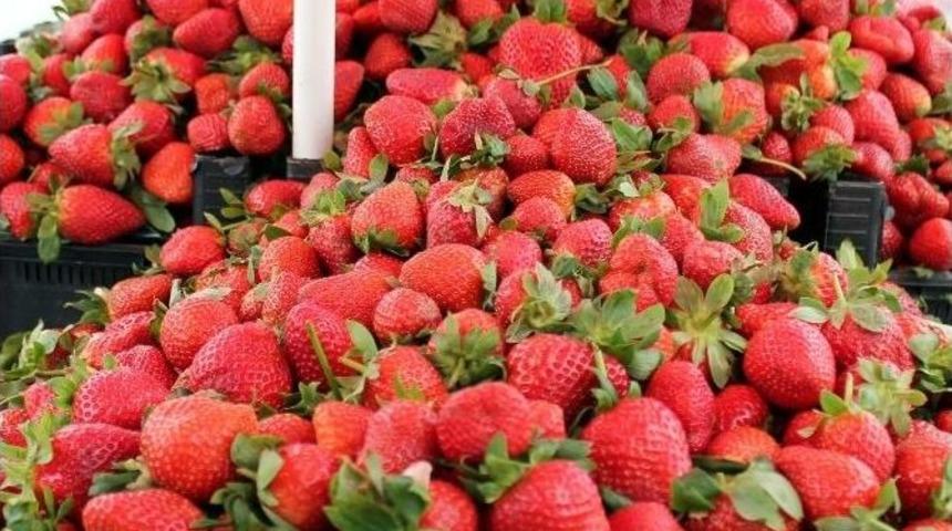 Samsat &Ccedil;ileği Tezgahlardı