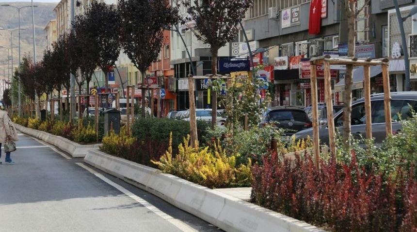 &Ccedil;ankırı&rsquo;da Atat&uuml;rk Bulvarı&rsquo;na Bitkisel Bakım