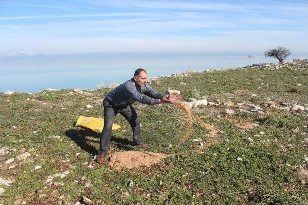 Beyşehir G&ouml;l&uuml; Adalarındaki Kuşlara Yem Bırakıldı