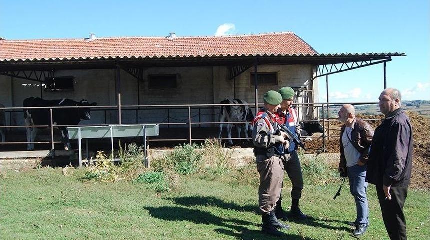 Hırsızlar Ahırdan 20 Bin Liralık 2 İnek &Ccedil;aldı