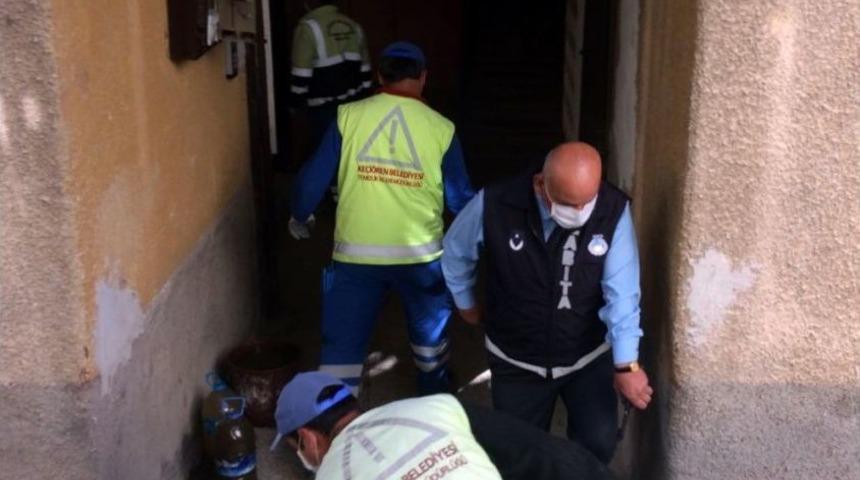 &Ccedil;&ouml;p Evden &Ccedil;imento D&ouml;k&uuml;lm&uuml;ş Kedi Cesedi &Ccedil;ıktı