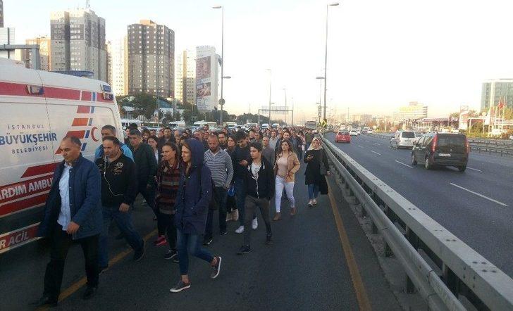 Cevizlibağ’da Metrobüs Bir Kadına Çarptı, Seferler Durdu G2