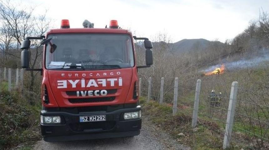 Fatsa&rsquo;da Korkutan Yangın