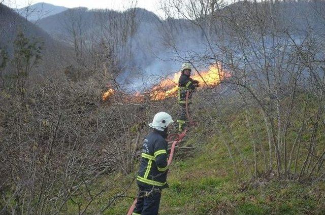 Fatsa’da Korkutan Yangın