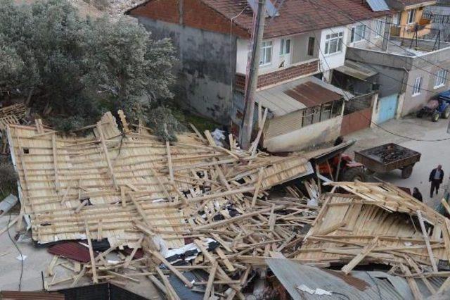 Lodos Bursa'da Çatı Uçurdu, Ağaç Devirdi (3)