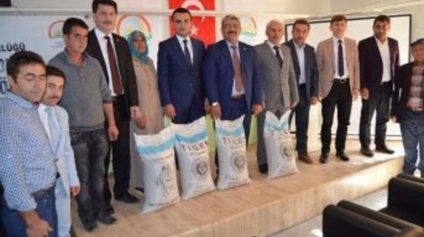 Altıntaş’ta 53 Çiftçiye Macar Fiği Tohumu Dağıtıldı