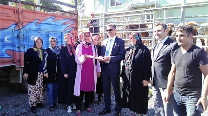 Gen&ccedil; Kadın &Ccedil;ift&ccedil;iye Hibe Desteği