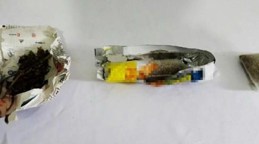 Bisk&uuml;vi Paketinde Bonzai Bulundu