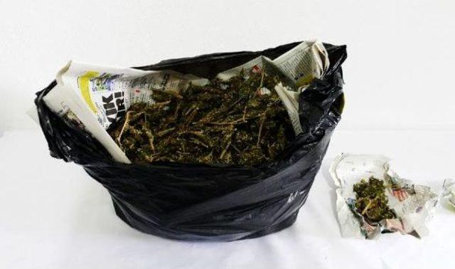 Bisk&uuml;vi Paketinde Bonzai Bulundu 2