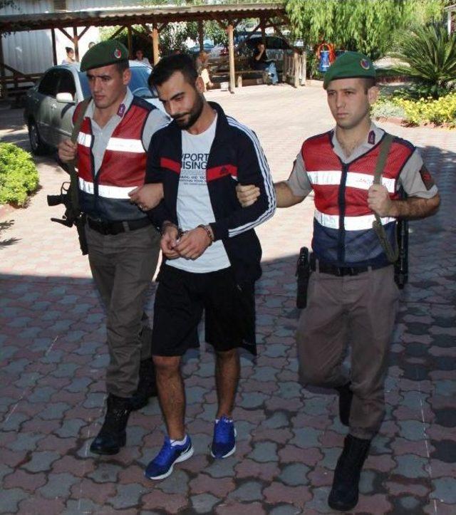 Bisk&uuml;vi Paketinde Bonzai Bulundu 3