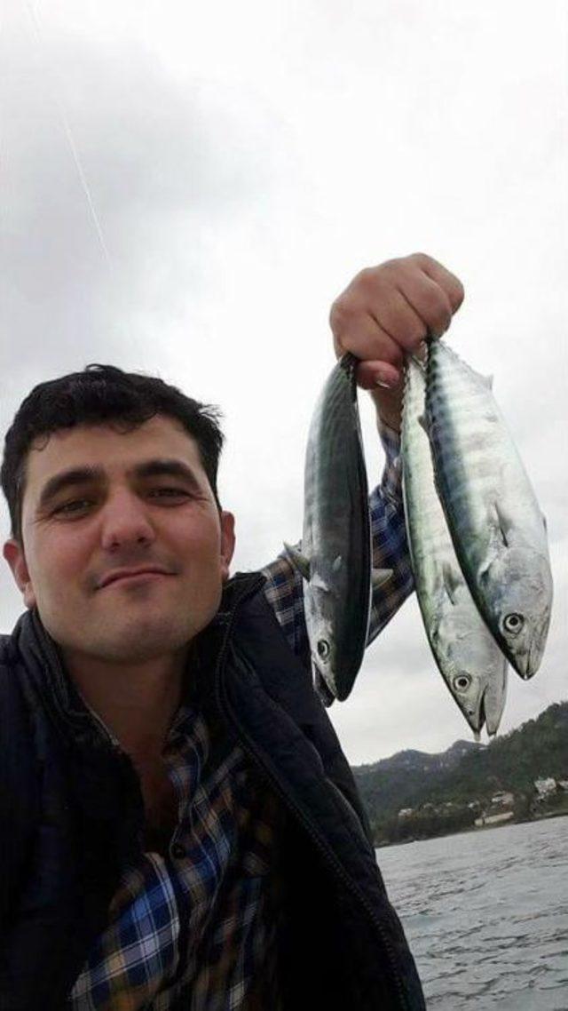 Karadeniz’de Palamut Bolluğu