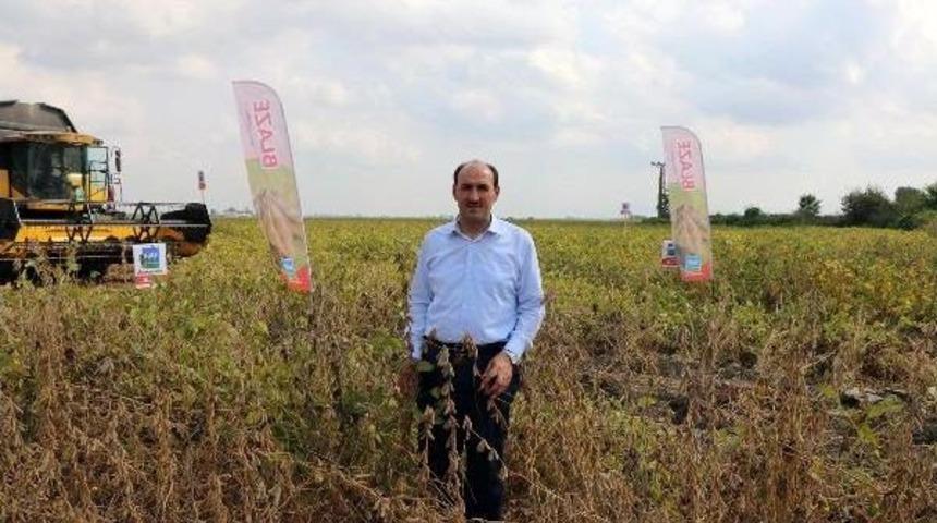 Adana Soya &Uuml;retiminde Zirvede