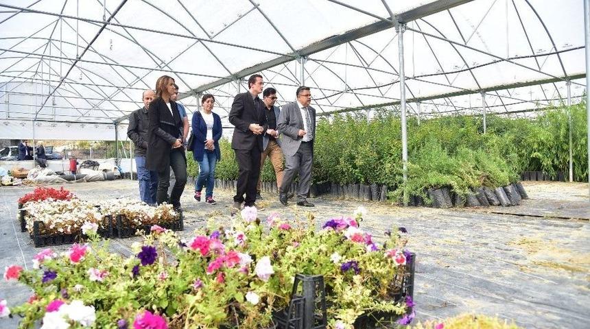 Başkan Yağcı&rsquo;dan İncelemeler