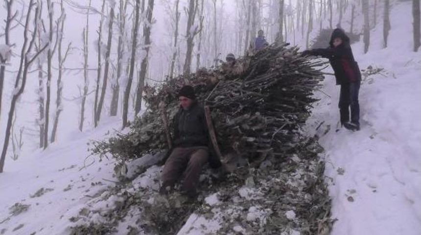 Muş'ta K&ouml;yl&uuml;ler Yakacak Odunu Kızaklarla Taşıyor