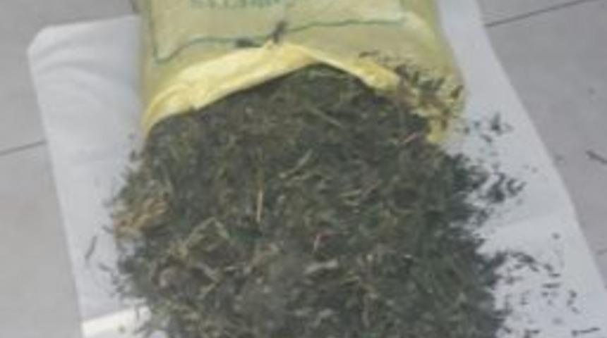 Gemlik&rsquo;te Uyuşturucu Operasyonu