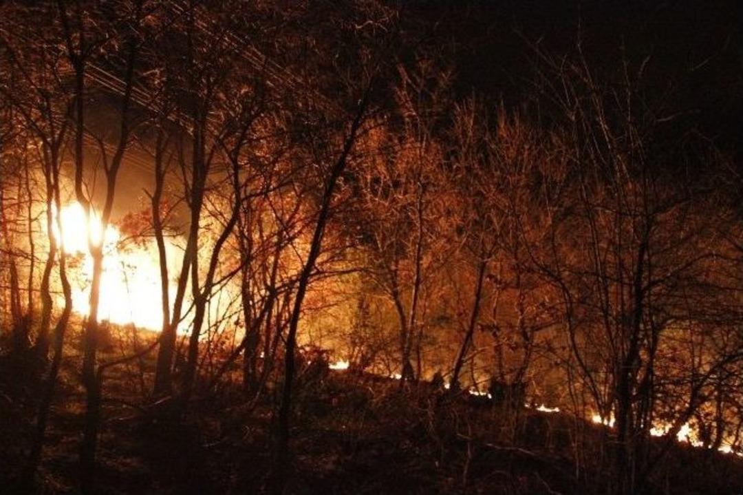 (&ouml;zel Haber)y&uuml;ksek Gerilim Hattının Kıvılcımı Ormanı Yaktı