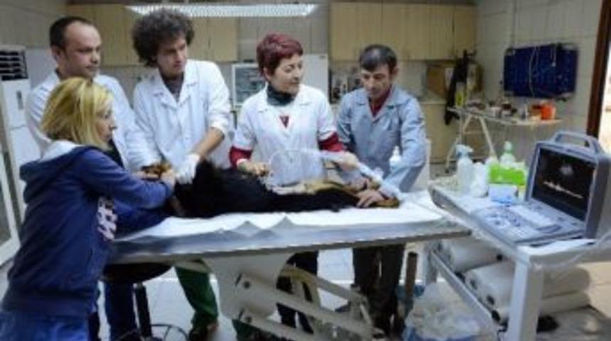 Muratpaşa Veterinerliğe Ultrason Cihazı