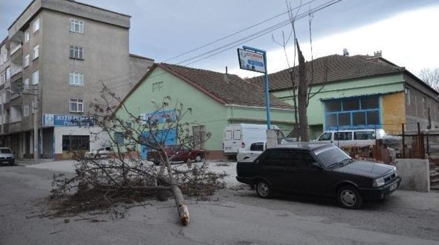 Kırılan Ağa&ccedil; Elektrik Tellerini Koparttı