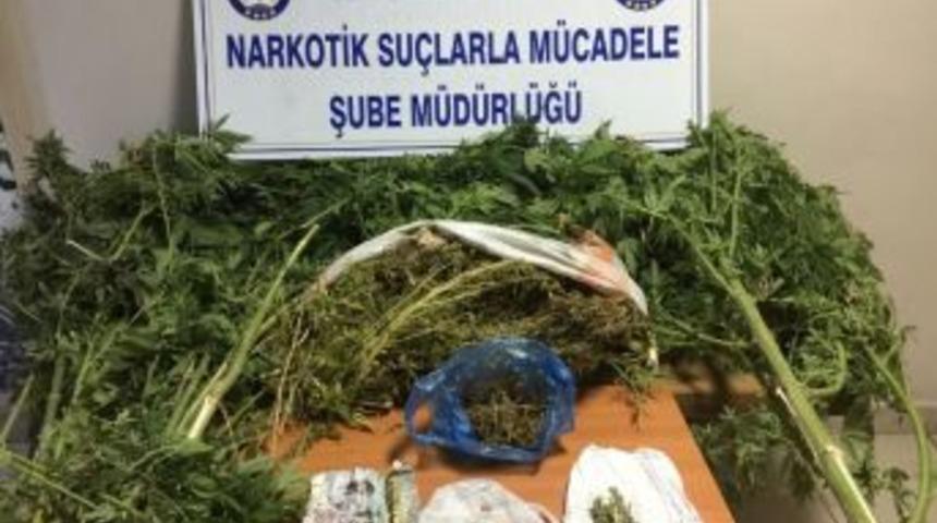 Polisten Zehir Tacirlerine Darbe