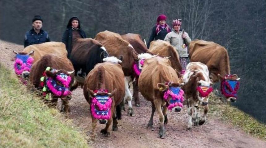 Doğu Karadeniz'de Yaylacılar Dönüyor