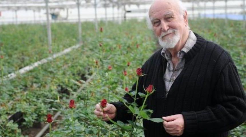 Sevgililer G&uuml;n&uuml;'nde &Ccedil;i&ccedil;ek Ihracatı D&uuml;şt&uuml;