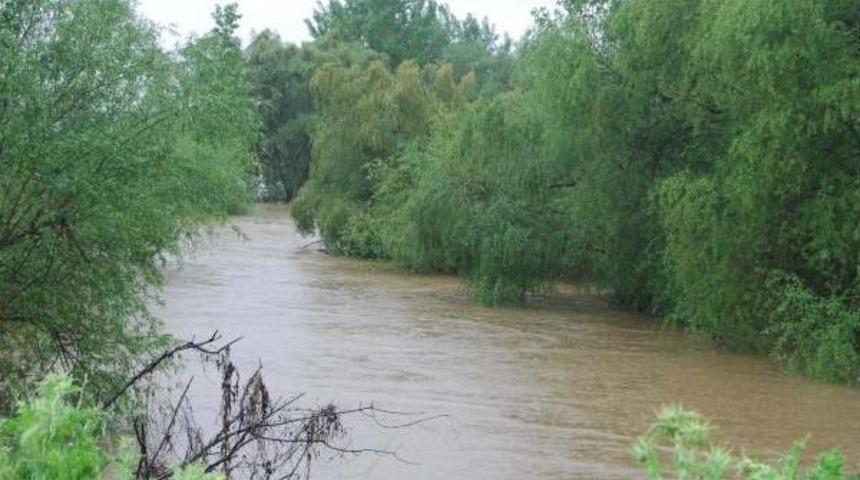 Gediz'de S&ouml;ğ&uuml;t Tartışması