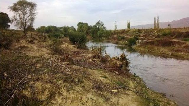 Gediz'de Söğüt Tartışması