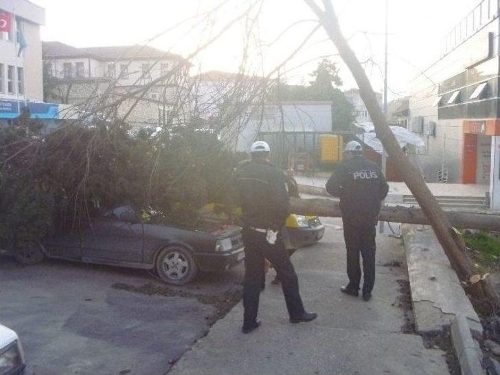 Lodos Bilecik’te Hayatı Olumsuz Etkiledi G2