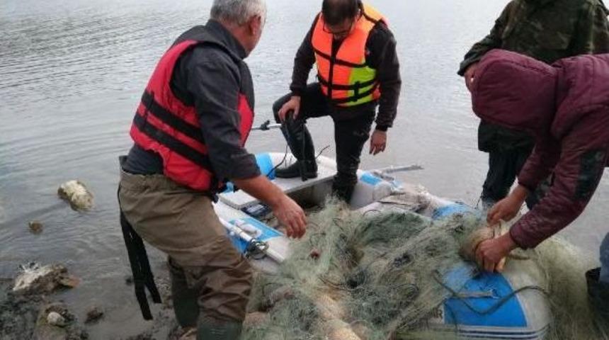 Yasak Ağa Takılan Balıklar, Suya Yeniden Bırakıldı