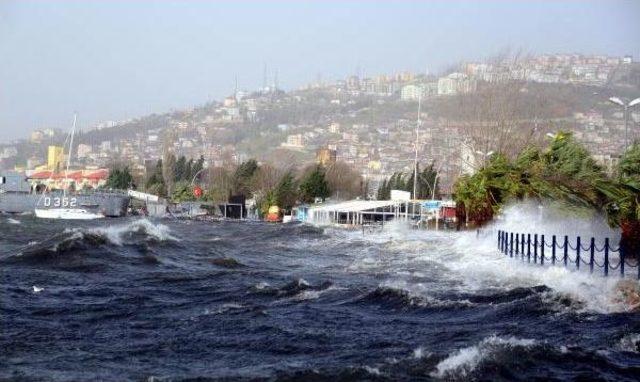 Kocaeli'yi Lodos Vurdu; Çatılar Uçtu, Deniz Kabardı