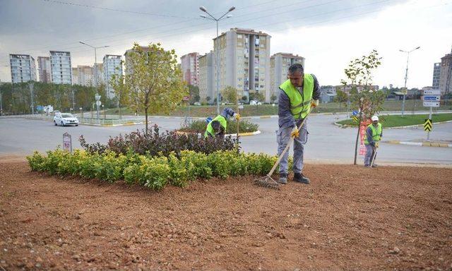 Tuzla Belediyesi Hafriyat Toprağını Doğaya Geri Kazandırıyor